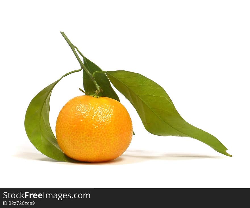 Tangerine with leaves