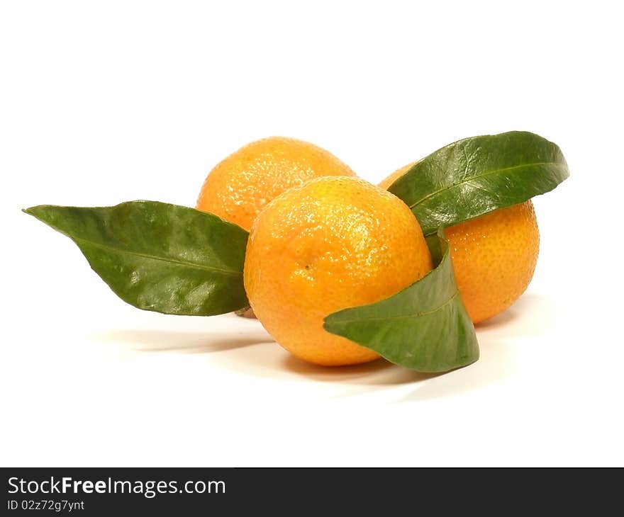 Tangerines with leaves