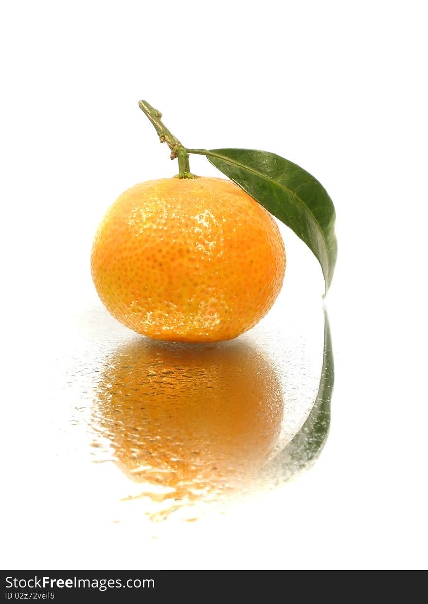 Tangerine with leave on the white background with water drops