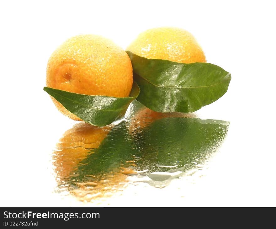 Tangerine with leaves on the white background with water drops