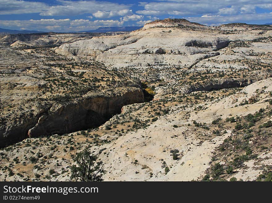 Desert In Southern Utah