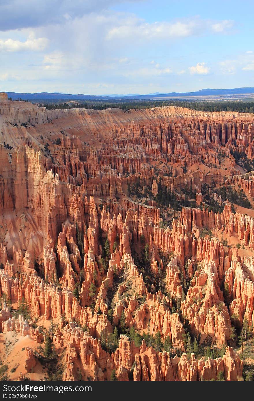 Hoodoos In Bryce Canyon