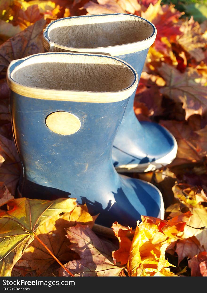 Blue boots in a colorful leaves. Blue boots in a colorful leaves