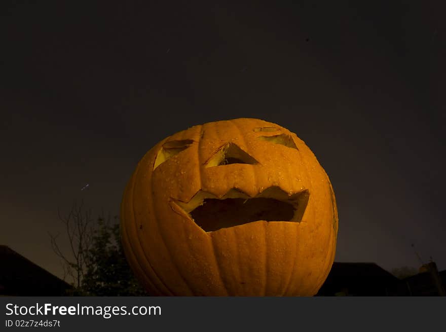 A Pumkin photographed at night. A Pumkin photographed at night