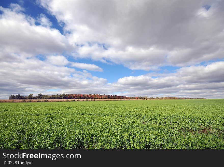 Clouds sky and green field  at fall. Clouds sky and green field  at fall