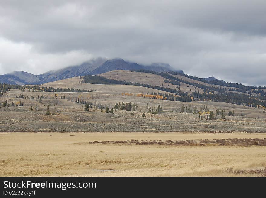 Lamar Valley fog