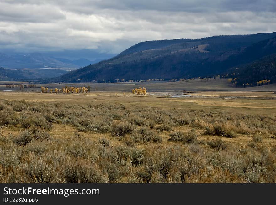 Lamar Valley Vista