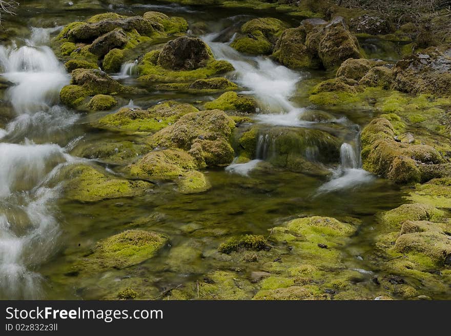 Mossy Stream