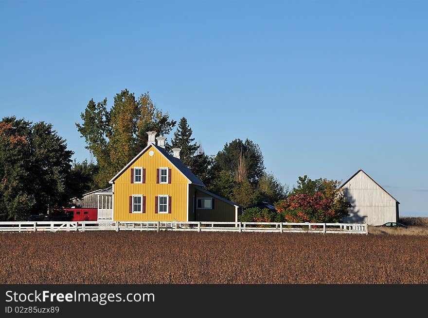 Yellow House In Farm  And Soy Beans Field