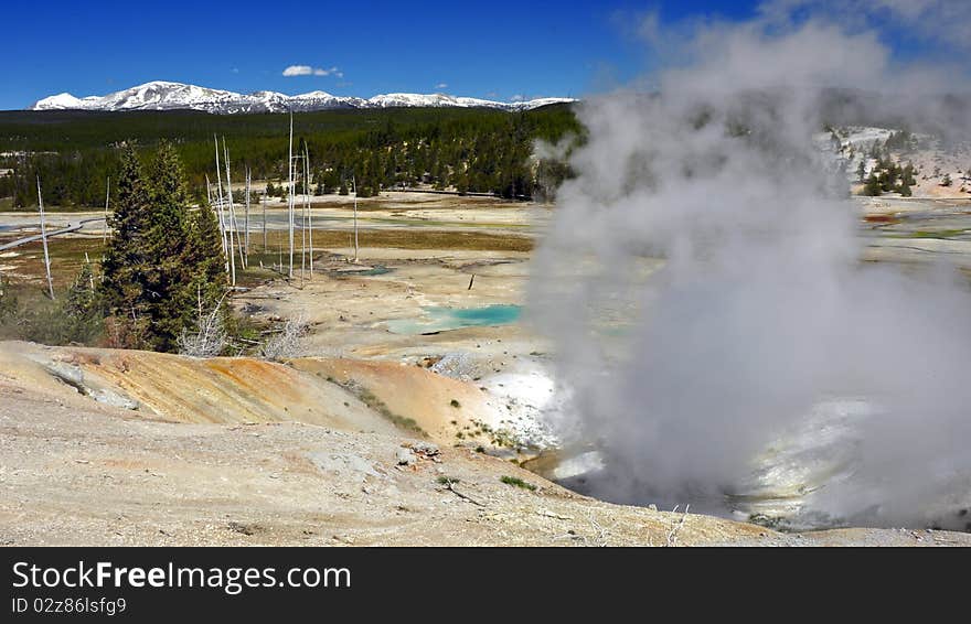 Porcelain Geyser Basin, Yellowstone National Park