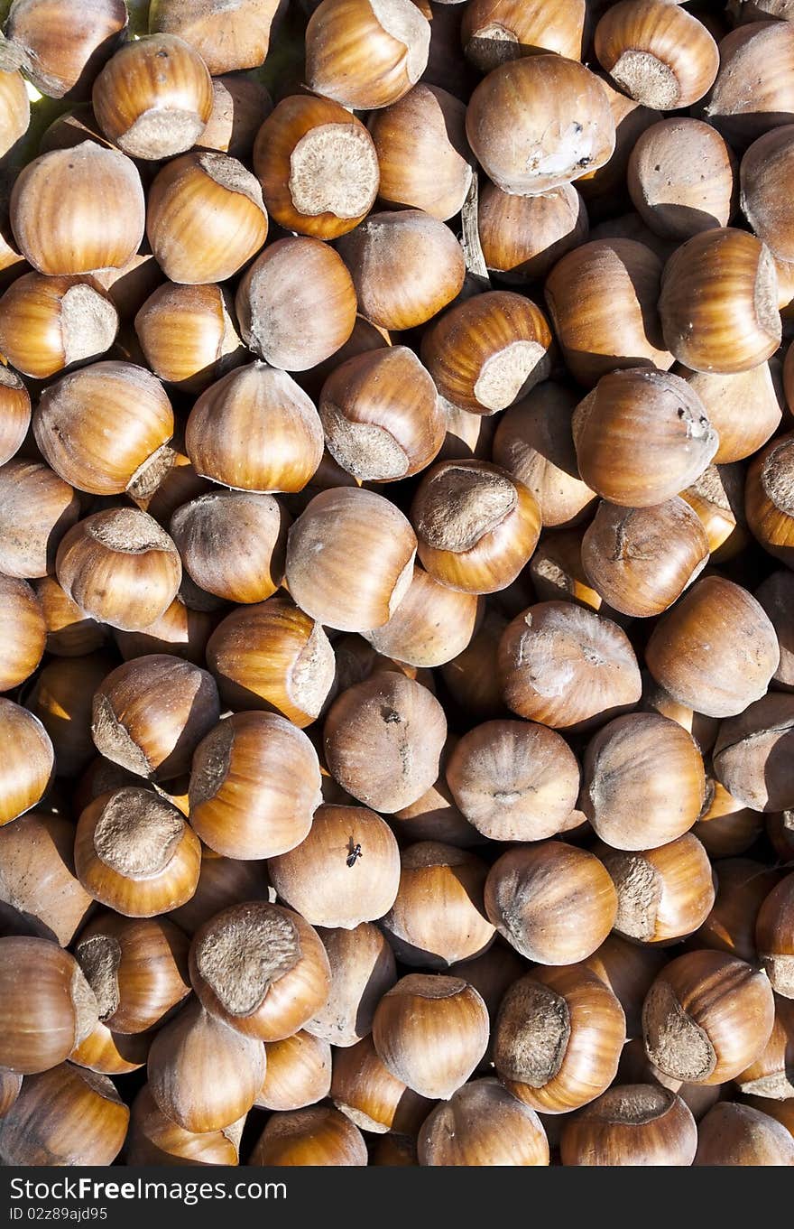 Background image of nuts making hazelnuts texture