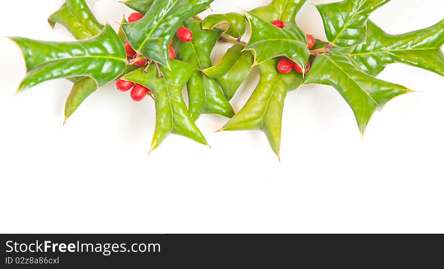 Christmas framework with holly berry isolated on white background