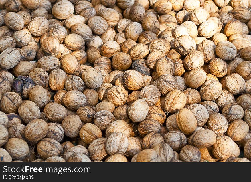 Walnuts drying on the sun. Walnuts drying on the sun