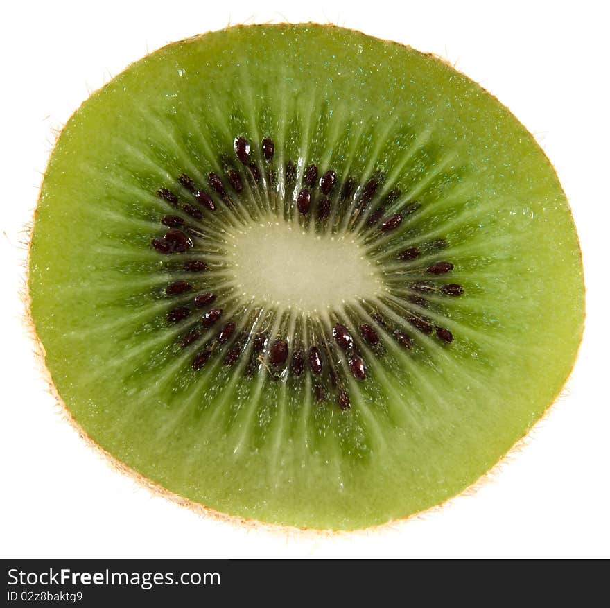 Kiwi On White Background