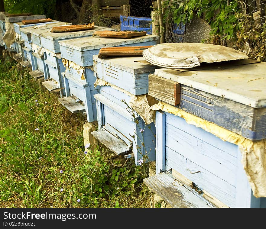 Wooden beehive