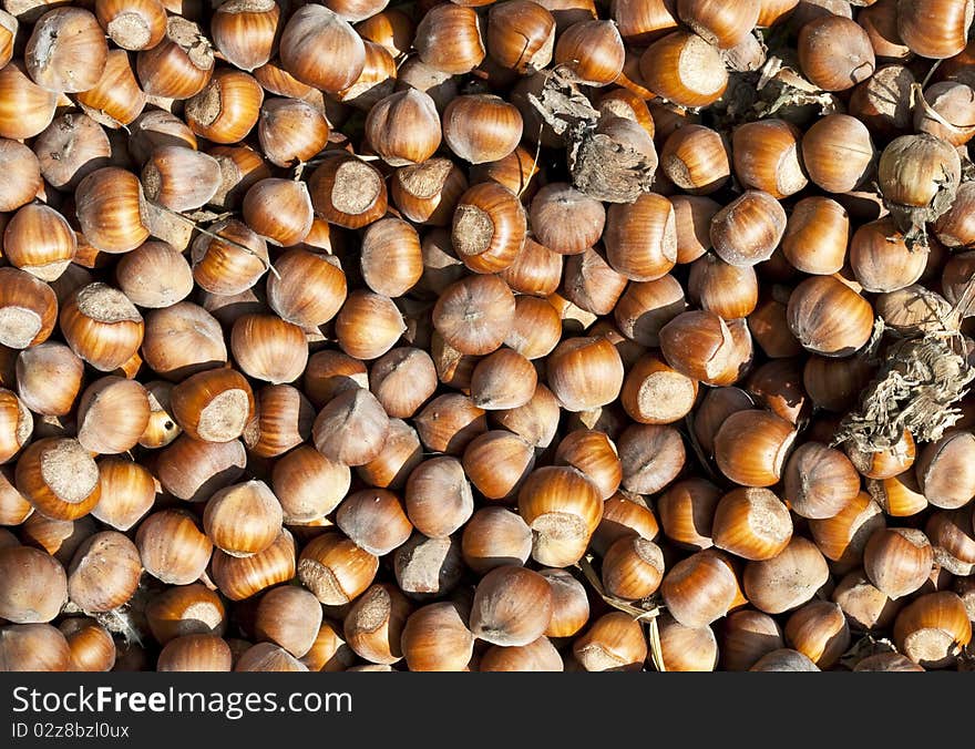 Hazelnuts texture