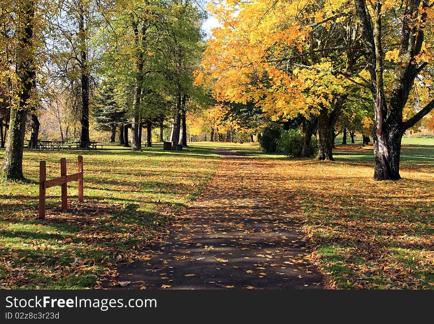 A walk in the park in the fall season. A walk in the park in the fall season.