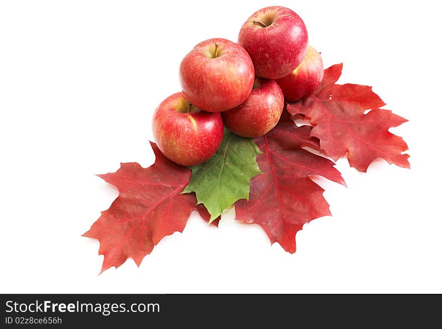 Autumnal fruit composition.