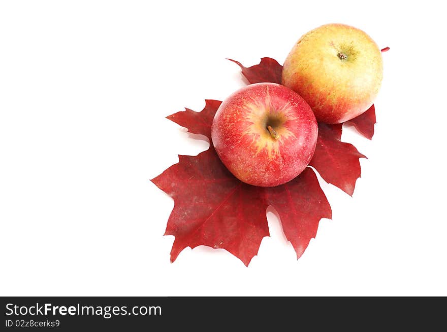 Autumnal fruits on a white.