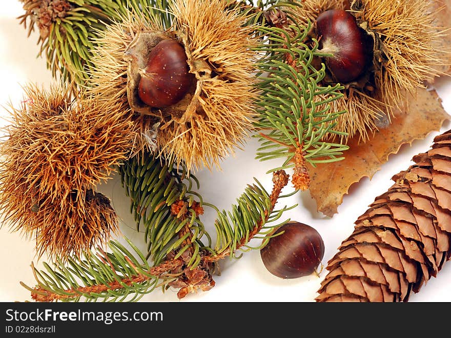 001 - Composition with chestnut curls and leaves on white background. 001 - Composition with chestnut curls and leaves on white background