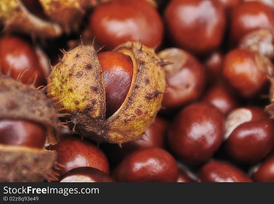 Chestnuts