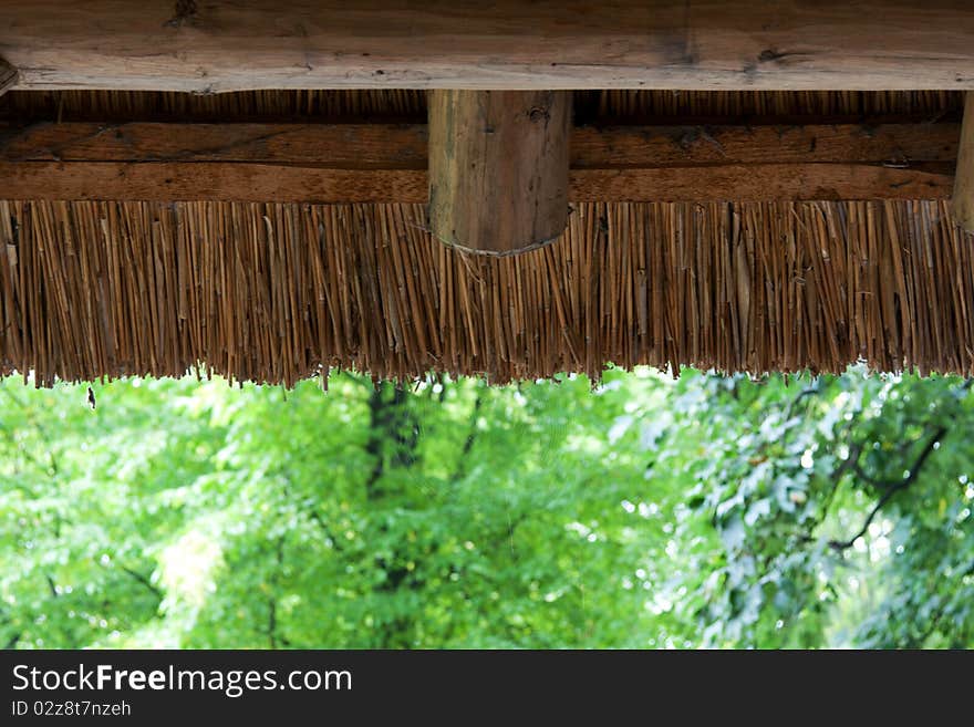 Reedy roof with wooden log