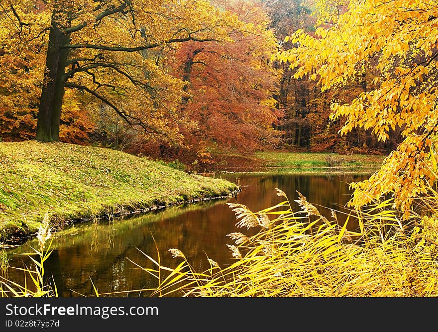 Autumn wood on the bank of a reservoir