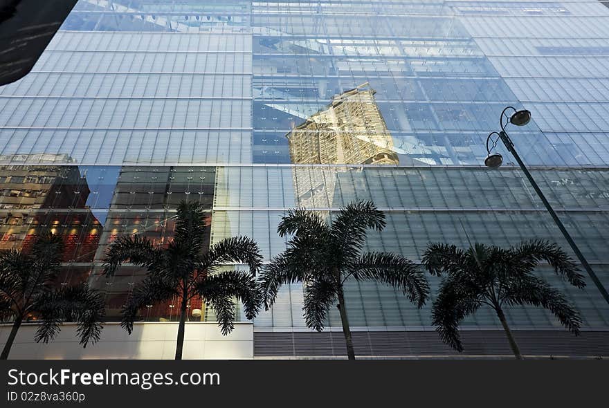 Palm trees and blue building reflection background. Palm trees and blue building reflection background