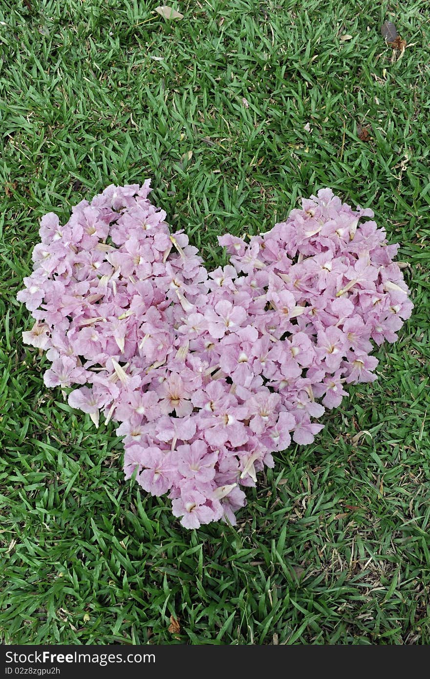 Flower heart