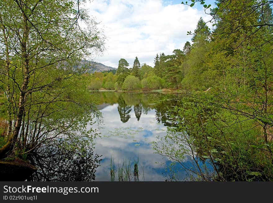The landscape of inverawe country park and lily loch near taynuilt in scotland. The landscape of inverawe country park and lily loch near taynuilt in scotland