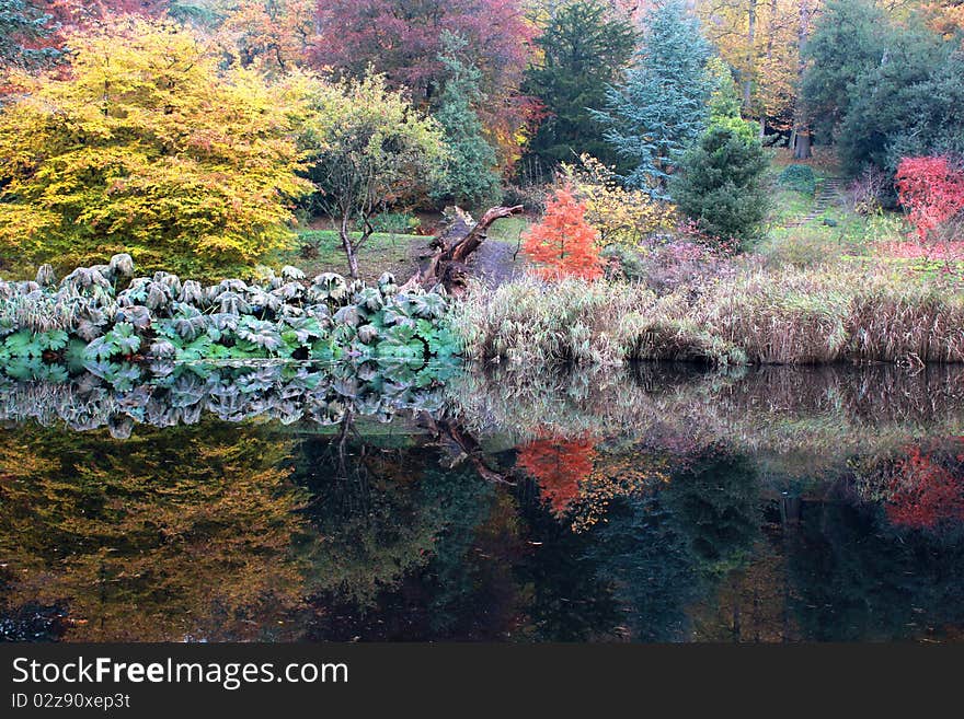 Reflection of autumn leaves in a lake