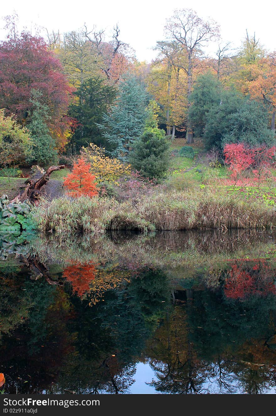 Reflection of autumn leaves in a lake