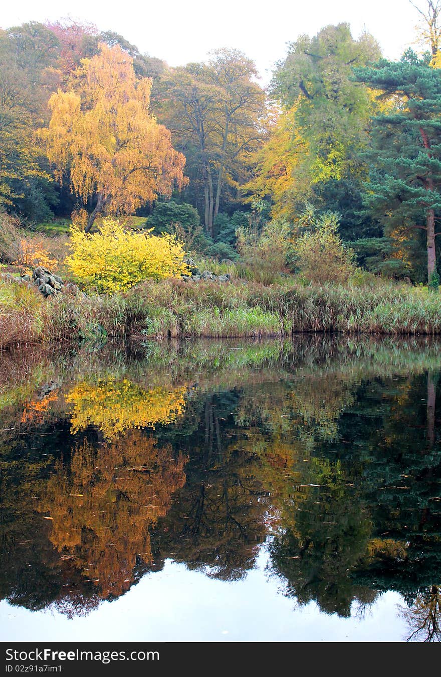 Reflection of autumn leaves in a lake