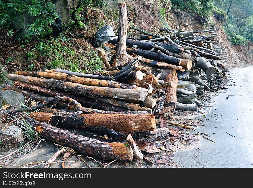 Picture of firewood in a countryside