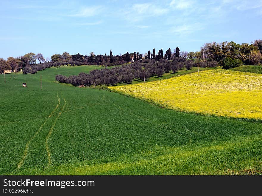 Country landscape