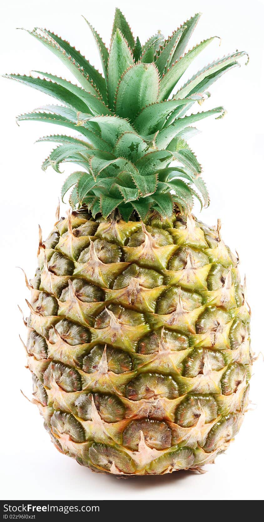 Large ripe pineapple with rich green rosette. Isolated on a white. Large ripe pineapple with rich green rosette. Isolated on a white.