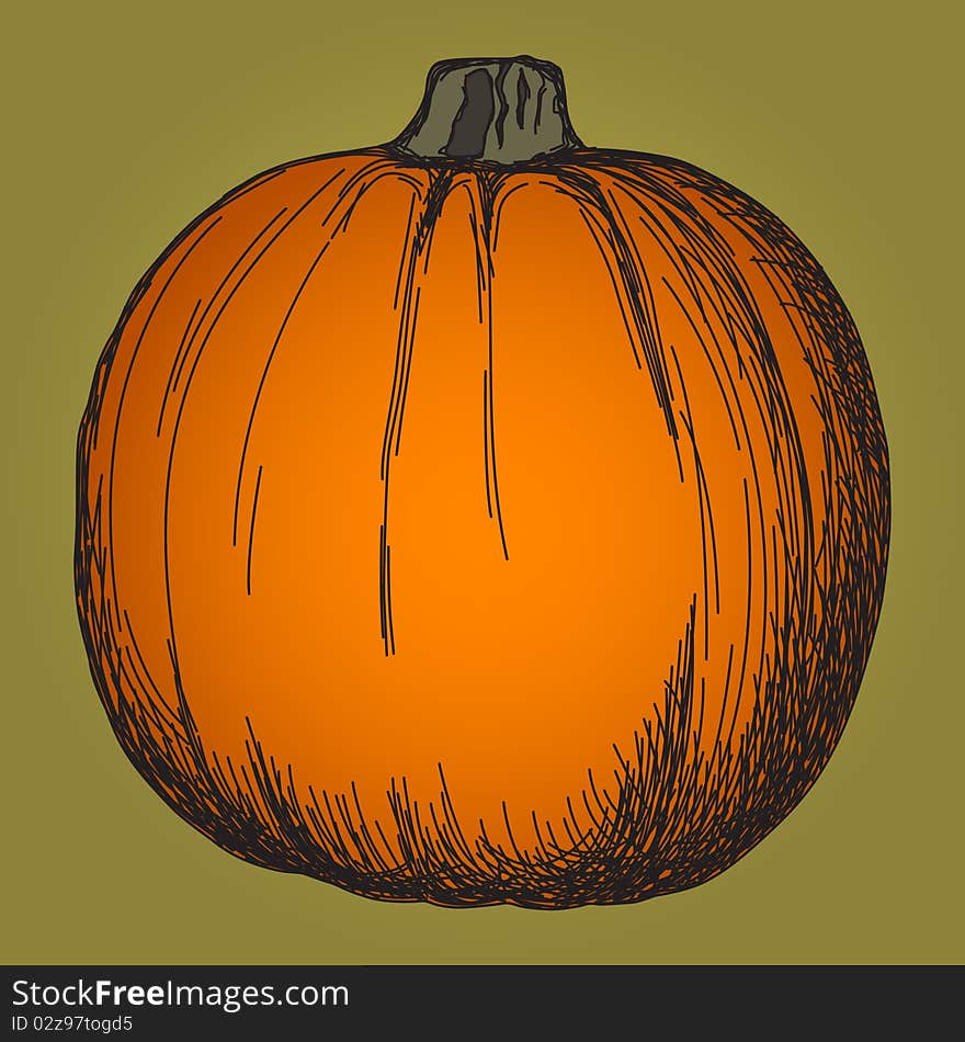 Cute Pumpkin Sketch