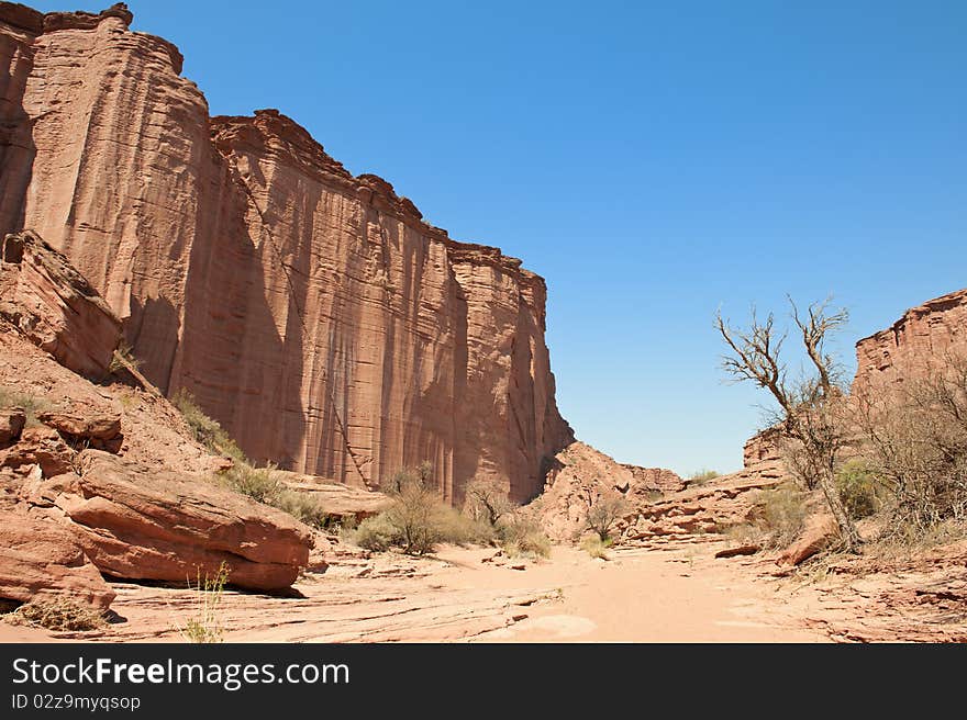 Talampaya canyon national park, northern Argentina. Sandstone cliffs. Talampaya canyon national park, northern Argentina. Sandstone cliffs.