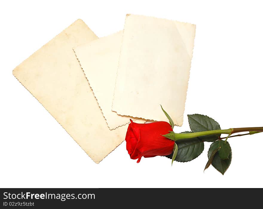 Old photo and red rose on white background