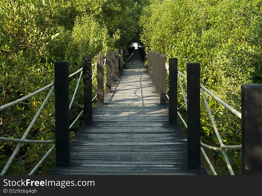 Wooden bridge walkway through the coppice