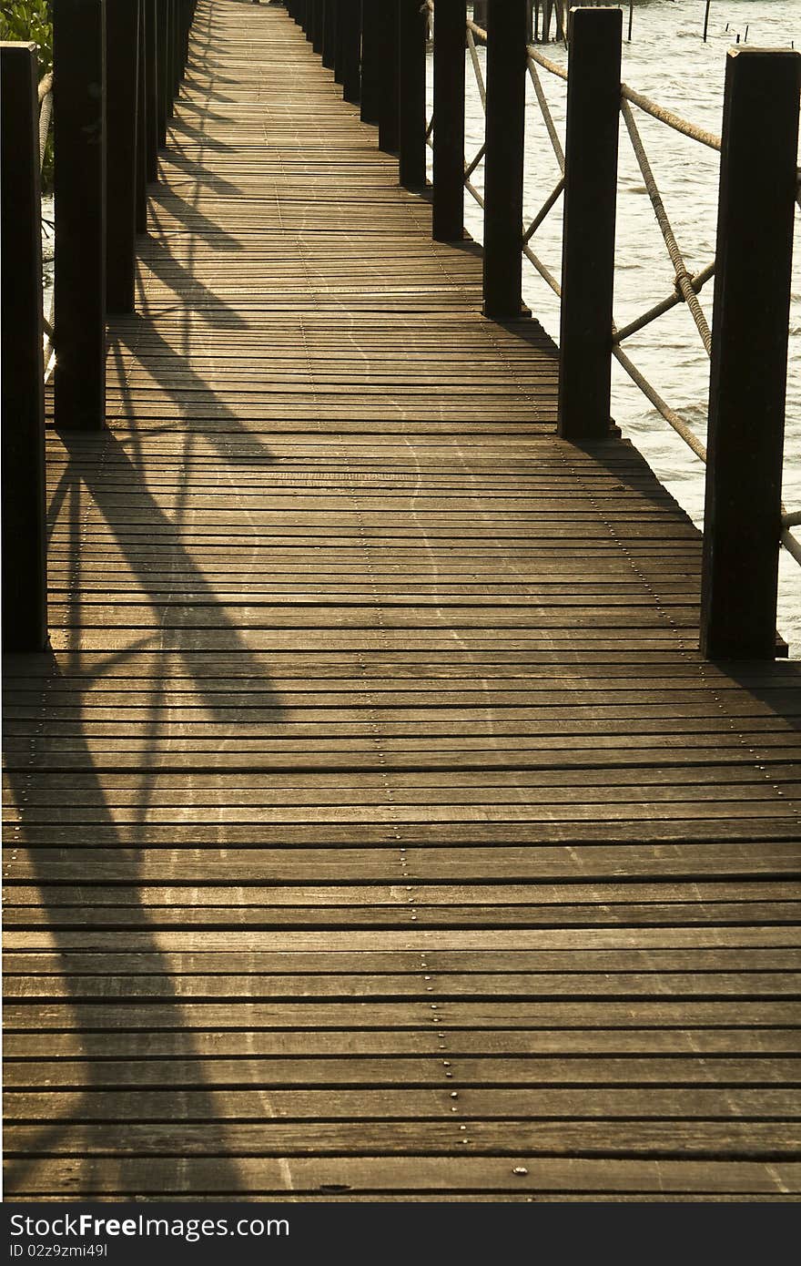 Wooden bridge walkway through the coppice