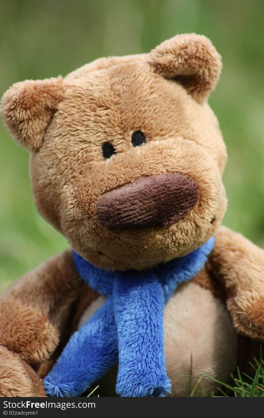 Teddy bear with blue scarf sitting on grass