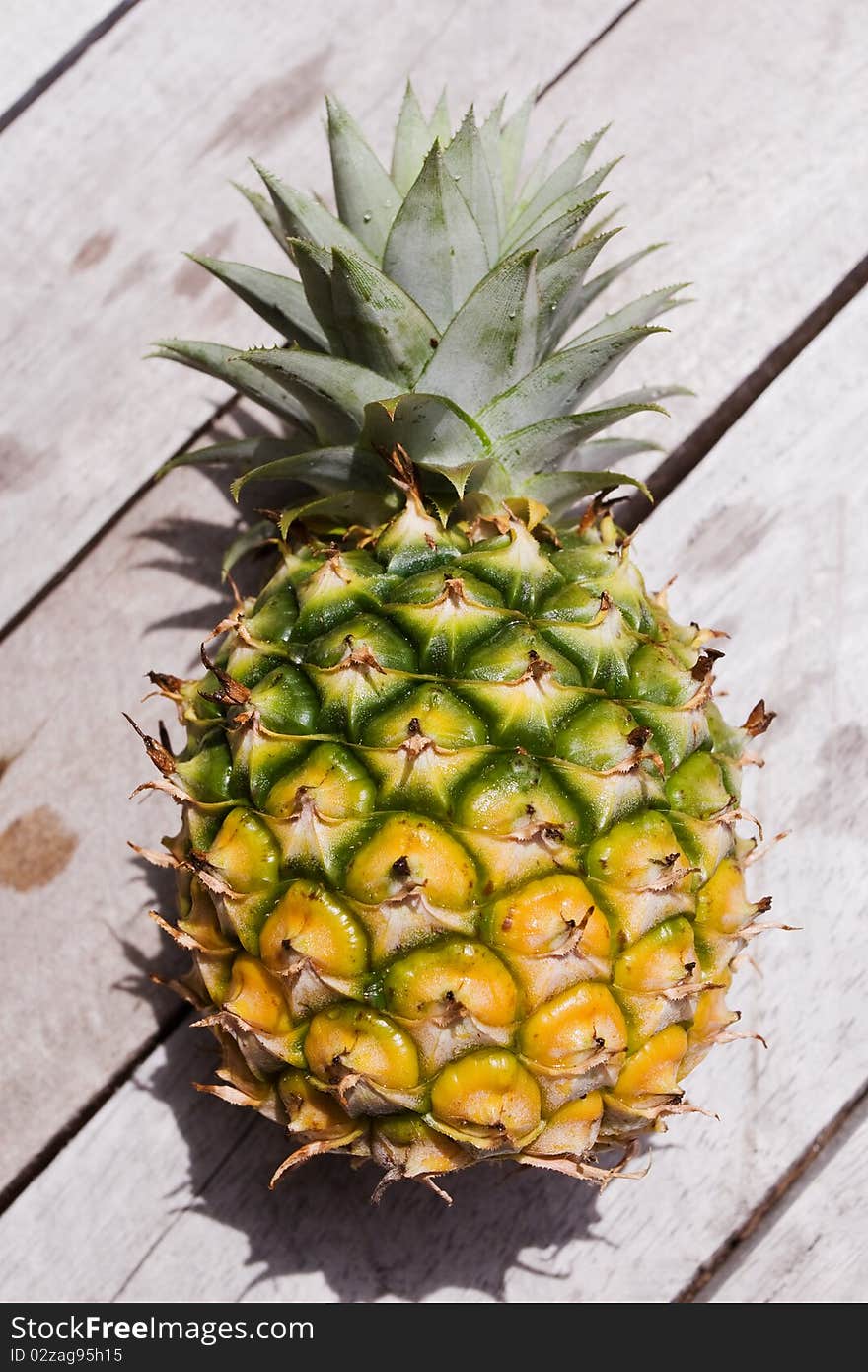 Pineapple fruit