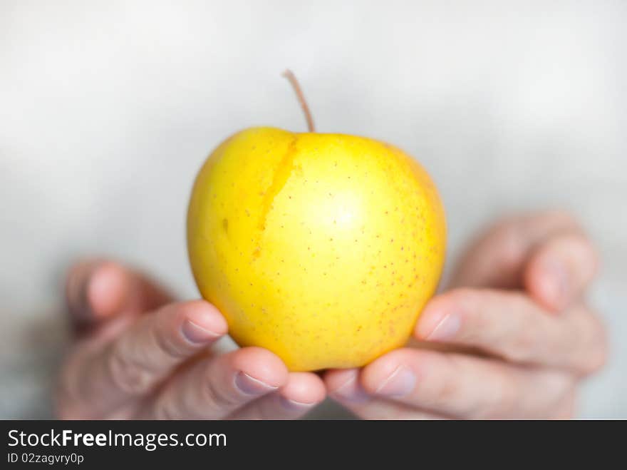 Fresh yellow apple in man's open palms