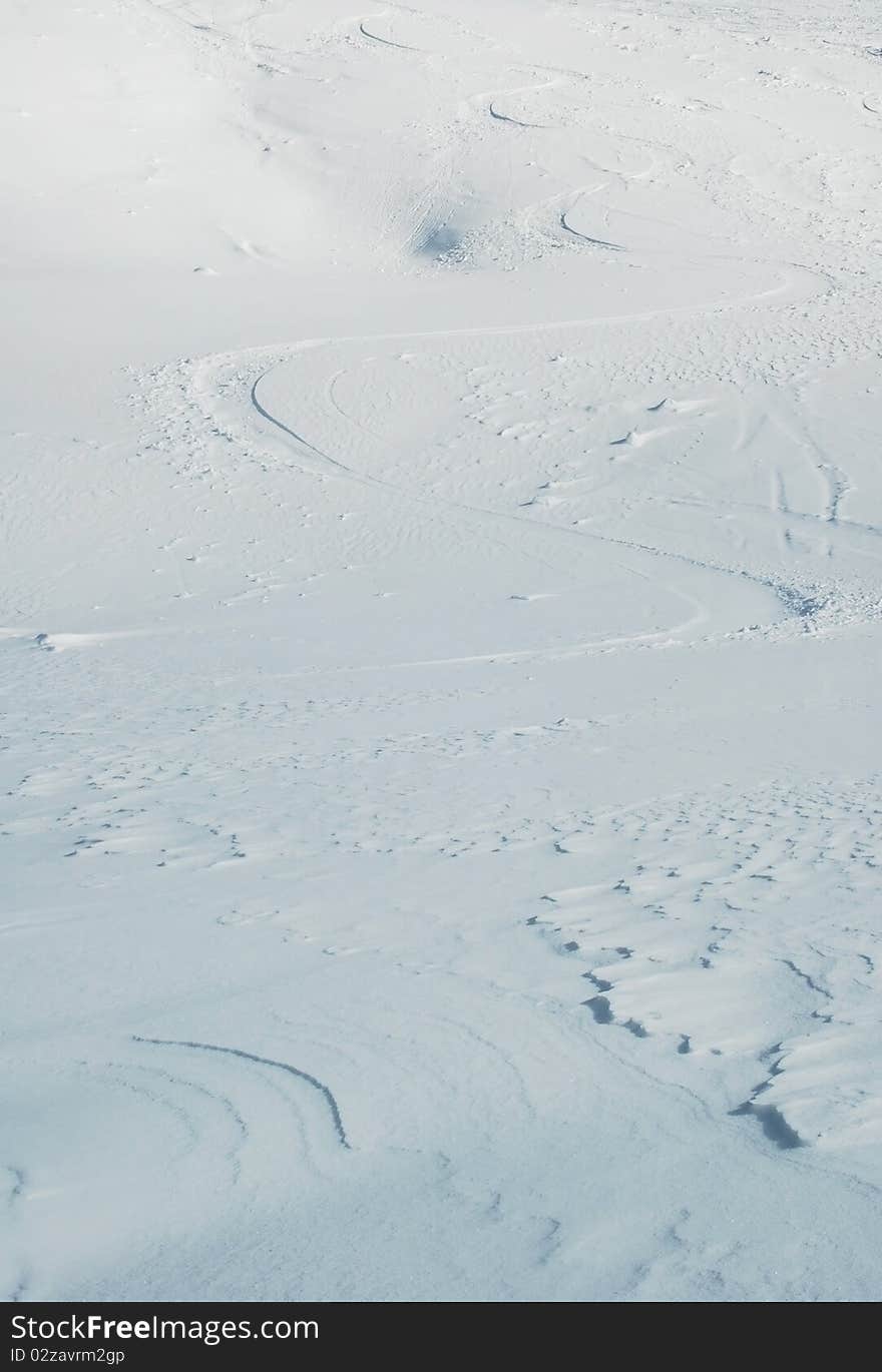 The tracks in the snow