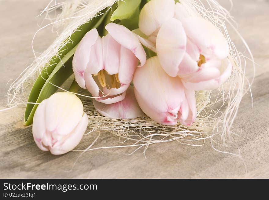 Pink flowers on wooden background. Pink flowers on wooden background