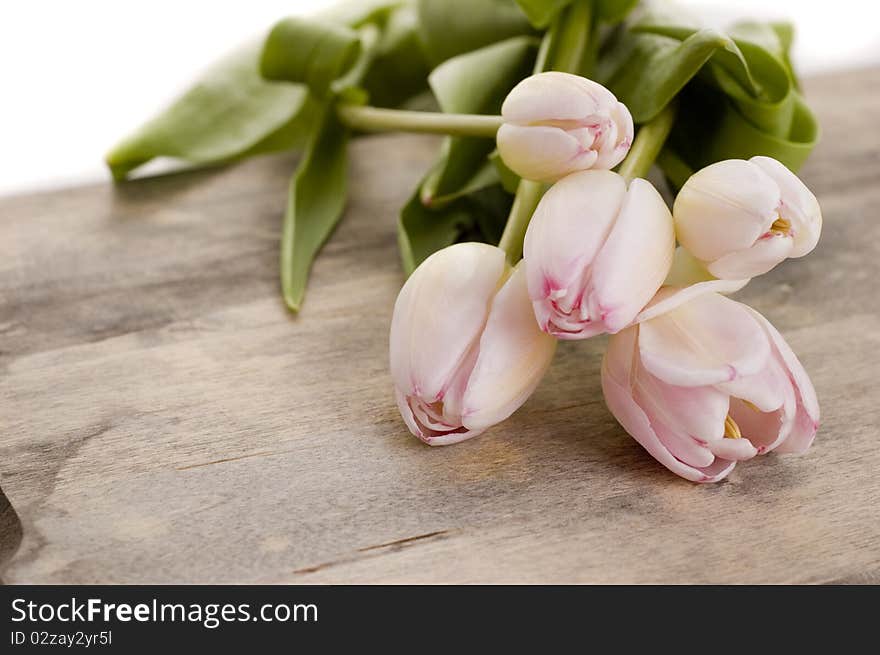 Pink flowers on wooden background. Pink flowers on wooden background