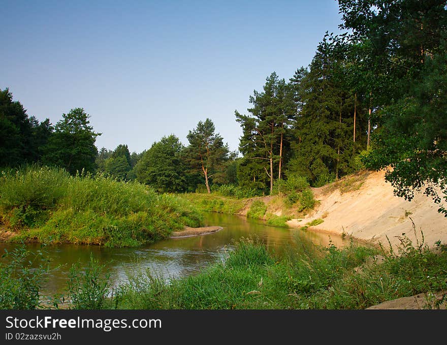 Small river in forest