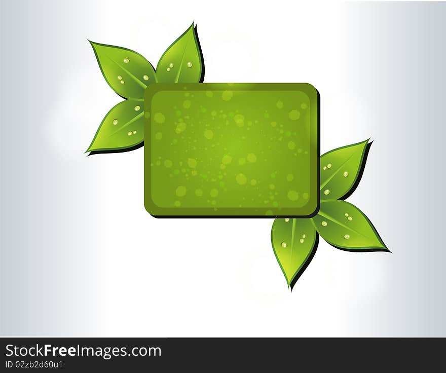 Green leaf frame