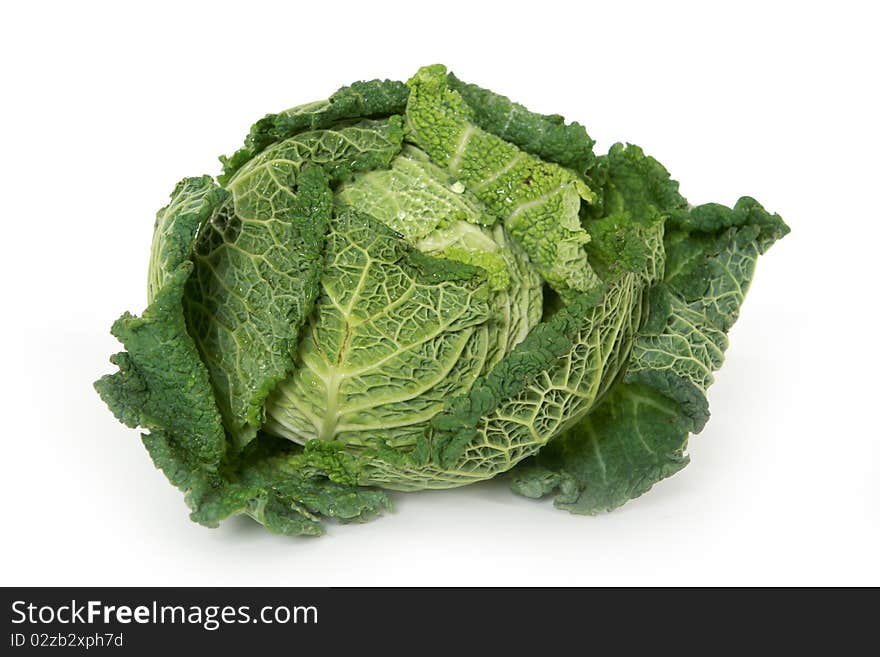 A head of savoy cabbage  on white background